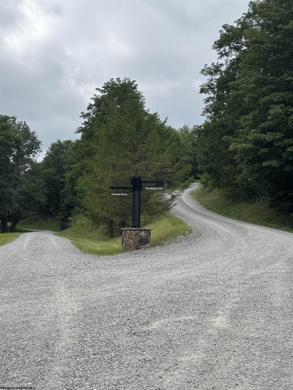 Picture 20