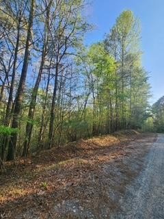 Creekfront Recreation Land Parcel