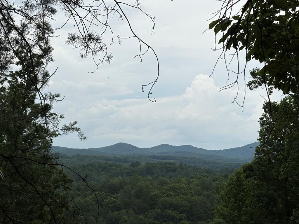 Morganton, GA 10-Acre Tract