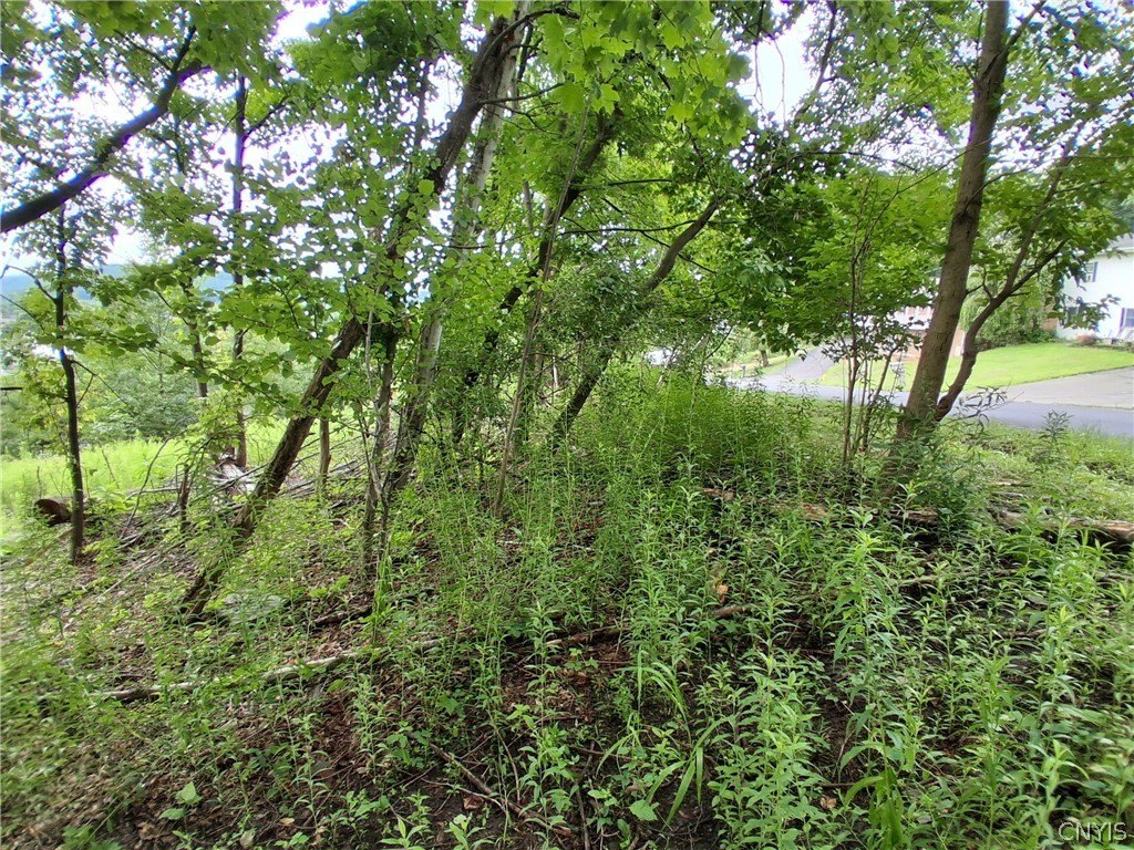 Picture 5