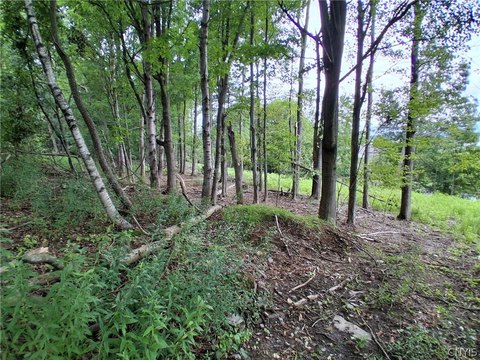 LAND - Endicott, NY