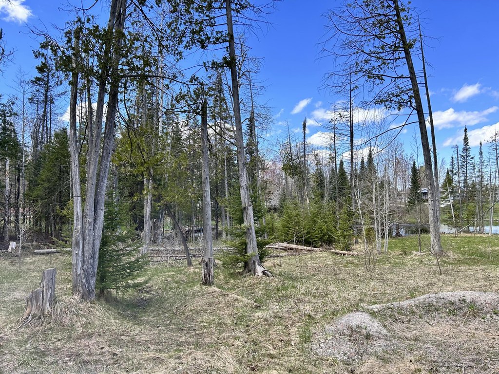 Picture 6