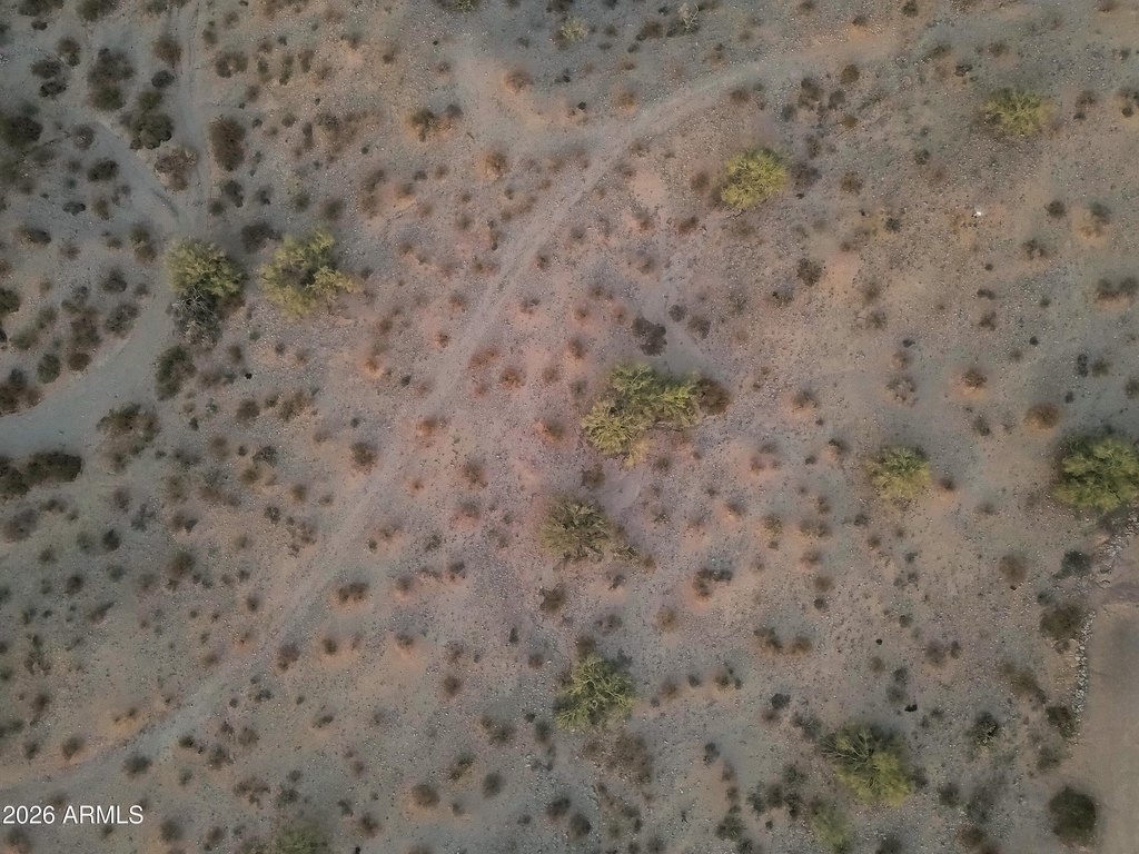Picture 15