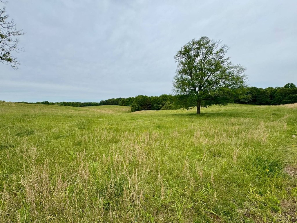 Picture 22