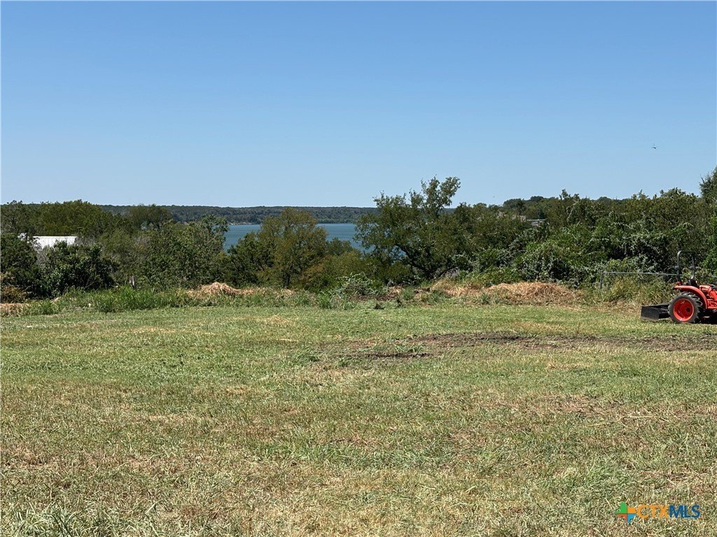 Picture 3