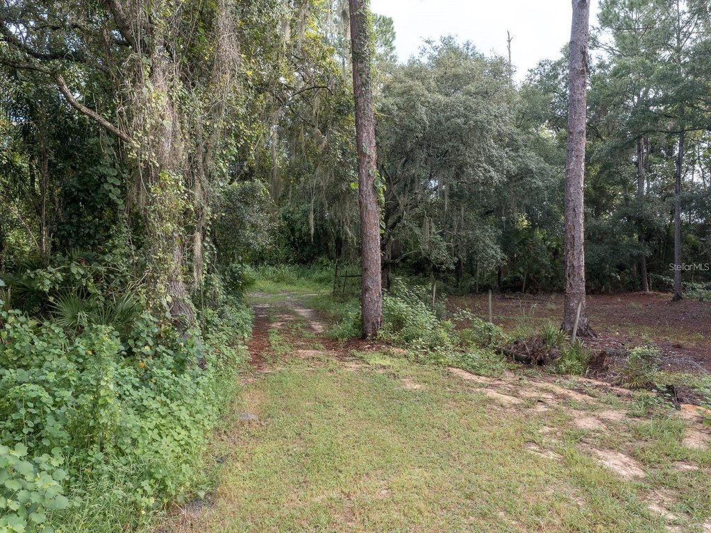 Picture 14