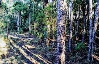 Picture 30