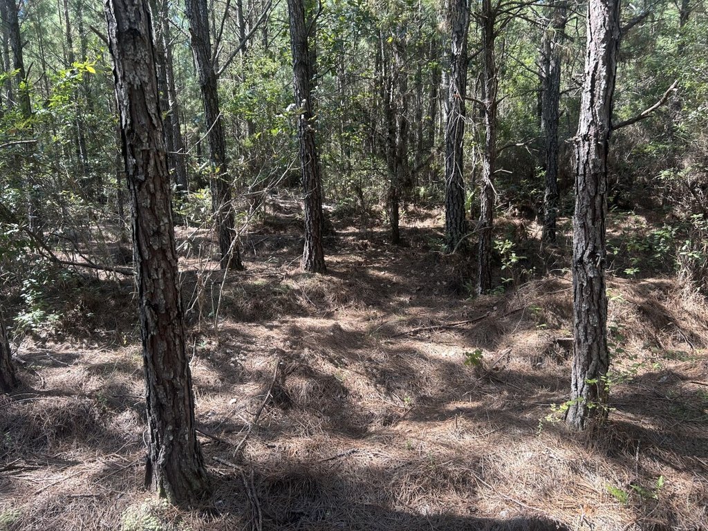 Picture 13