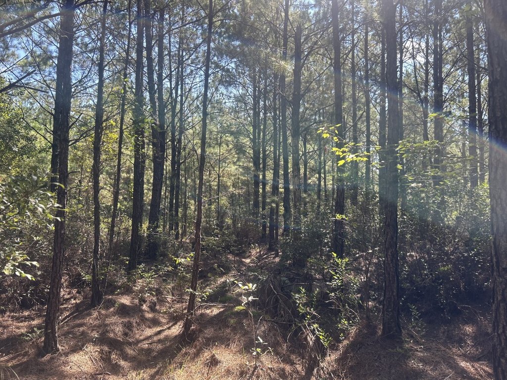 Picture 20