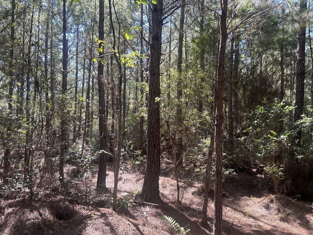 Picture 19
