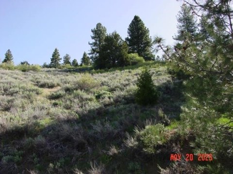 Land in Portola, California