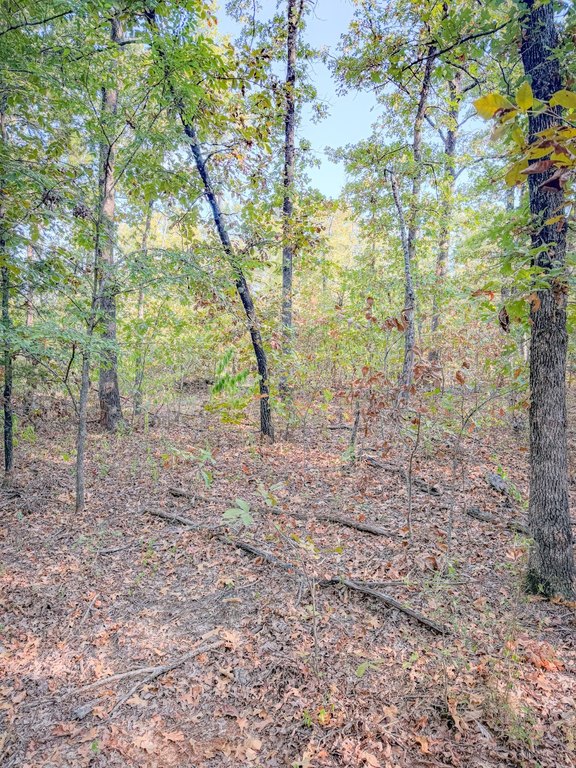 Picture 11