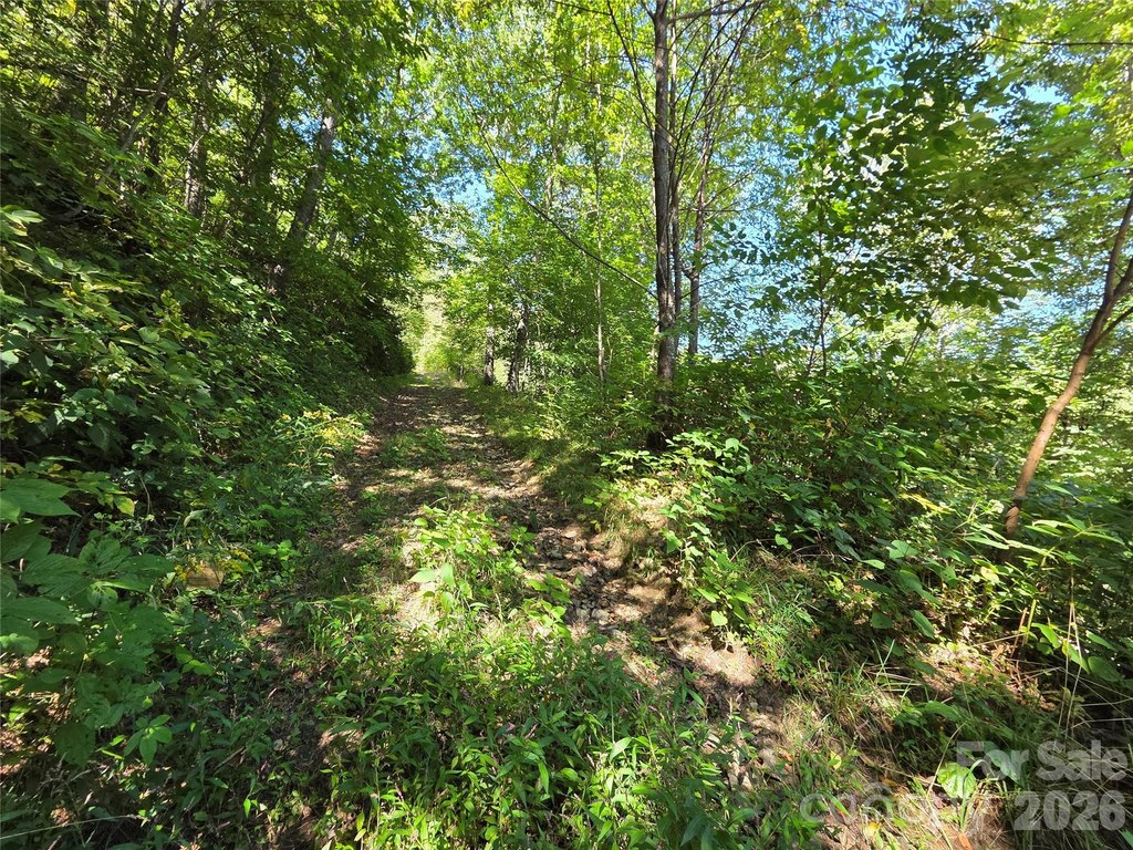 Picture 25