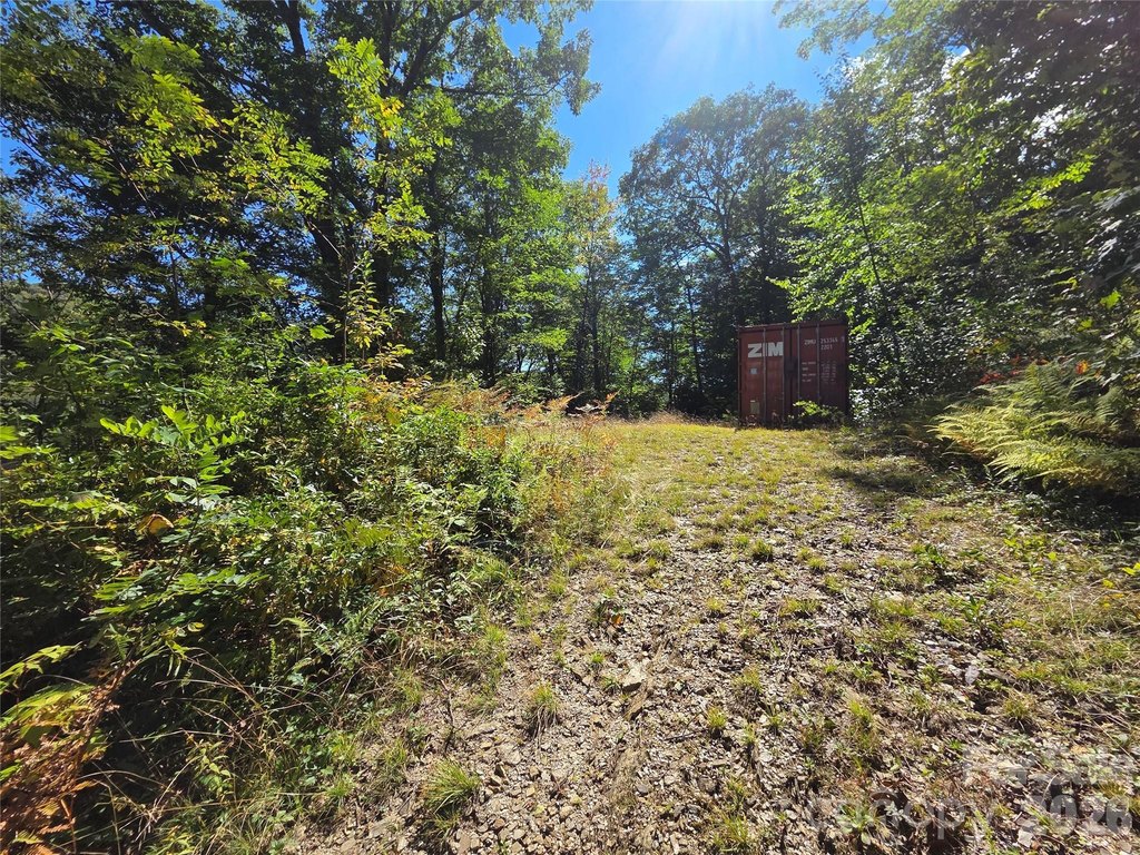 Picture 21
