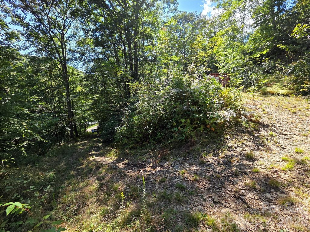 Picture 20