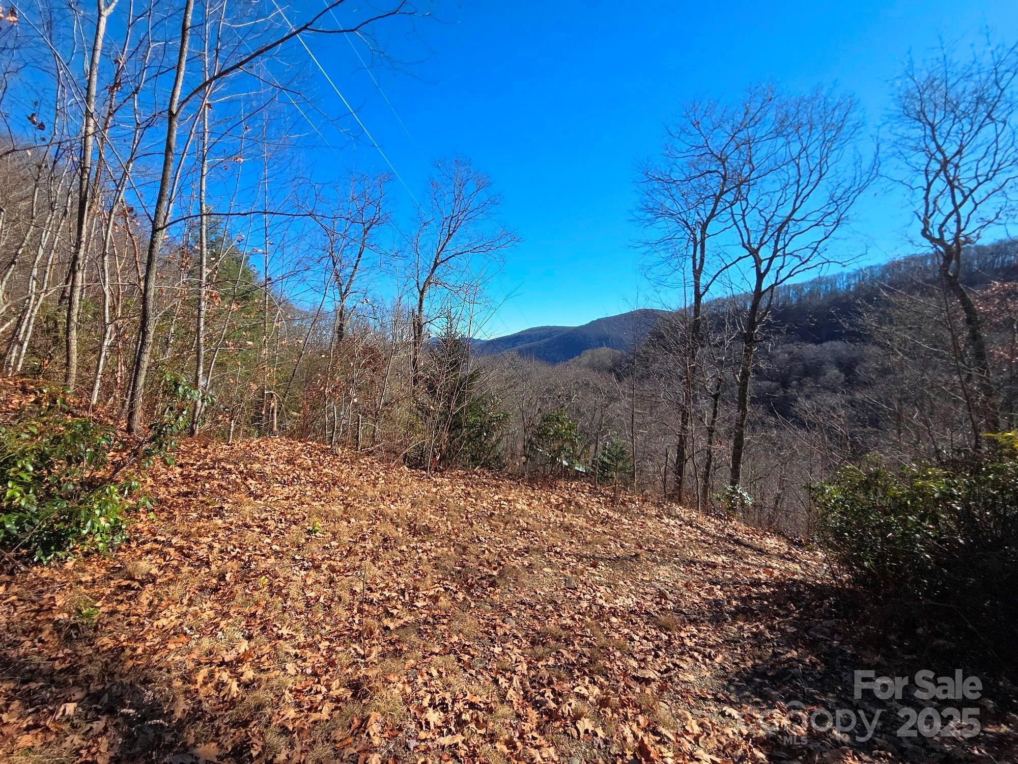 Maggie Valley Land with Views