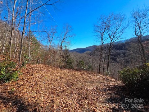Maggie Valley Land with Views