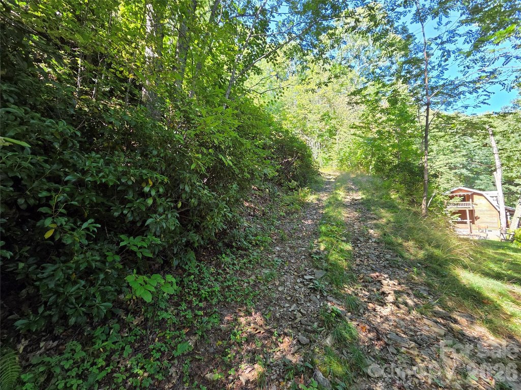 Picture 27