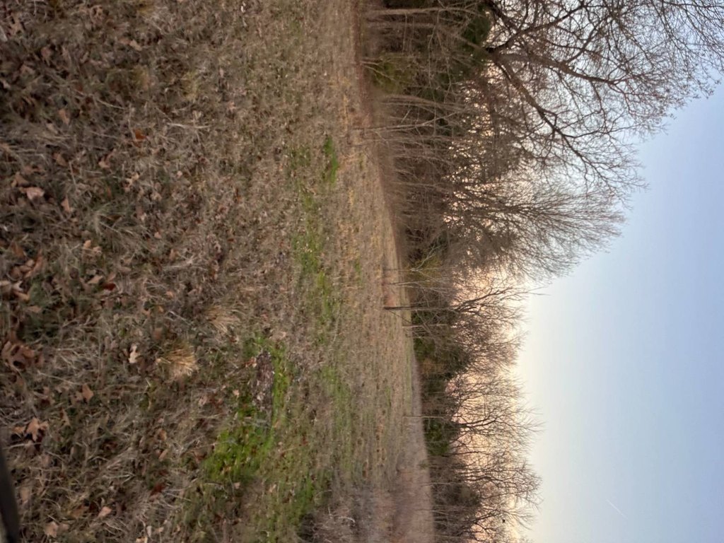 Picture 44