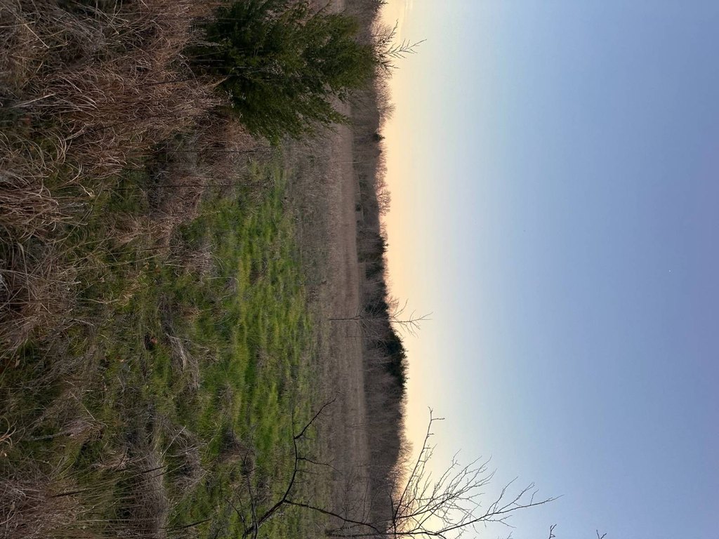 Picture 41