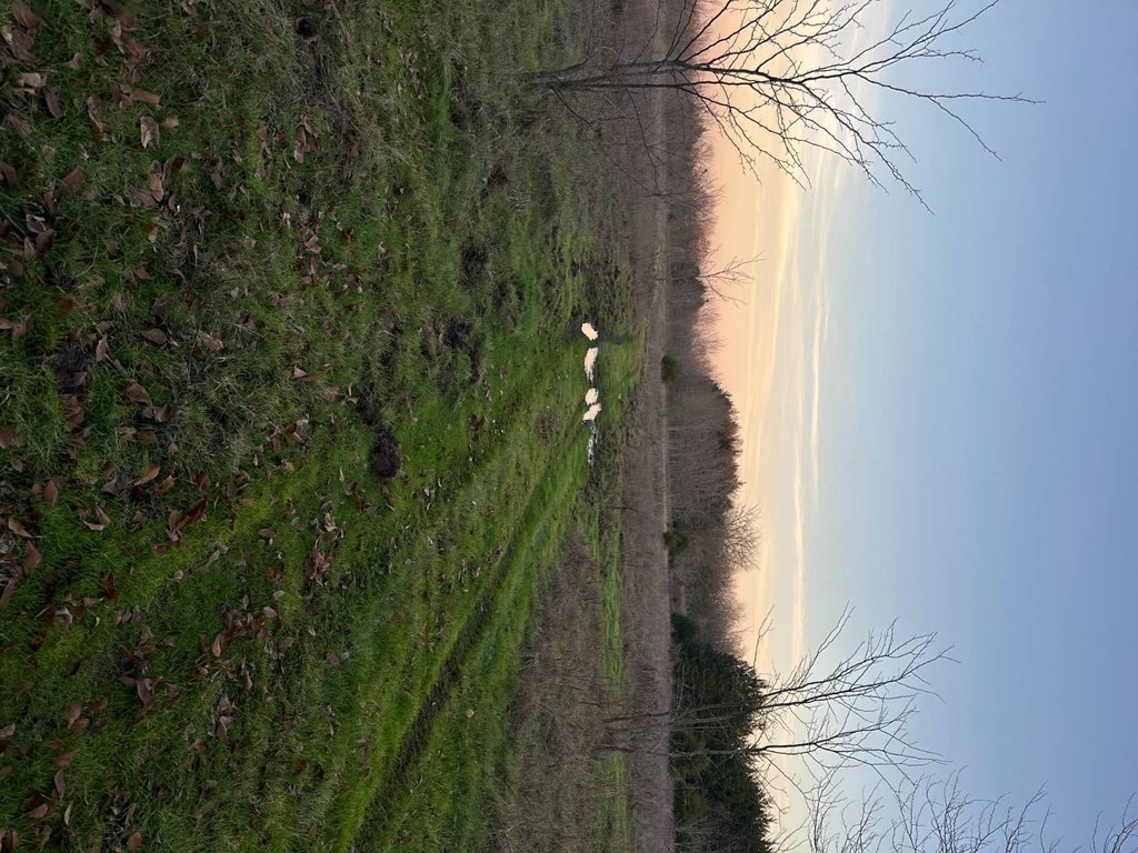 Picture 37