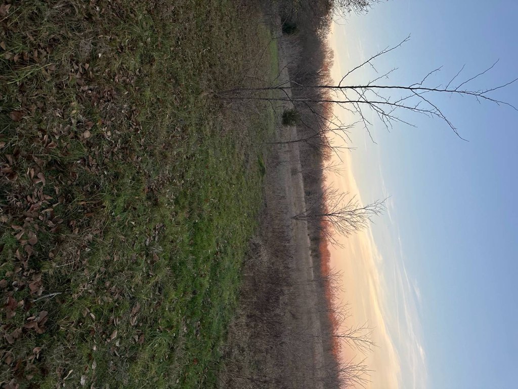 Picture 38
