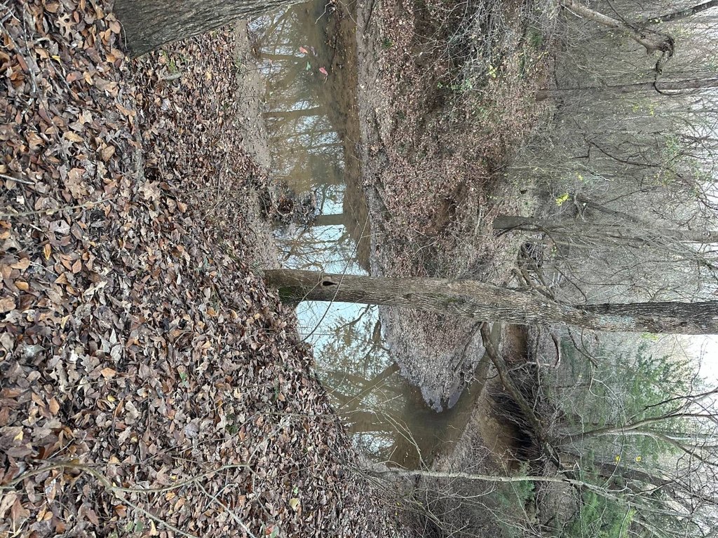 Picture 43