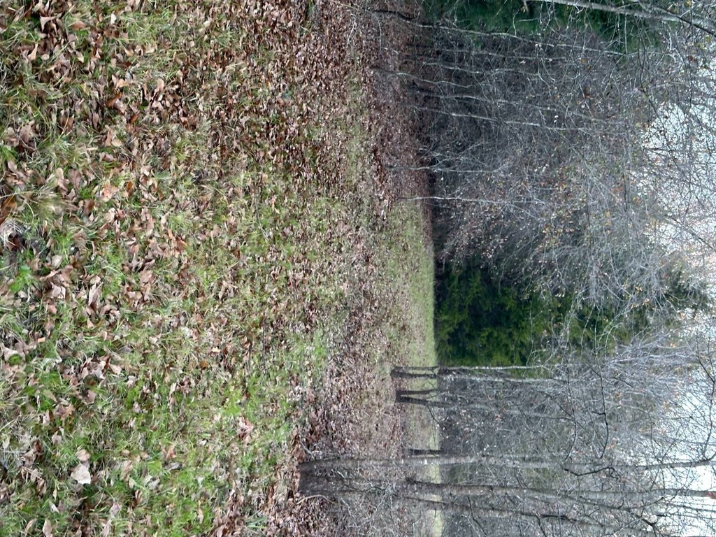 Picture 24