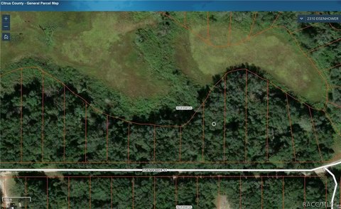 LAND - Inverness, FL