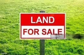 Land For Sale Andrews, TX