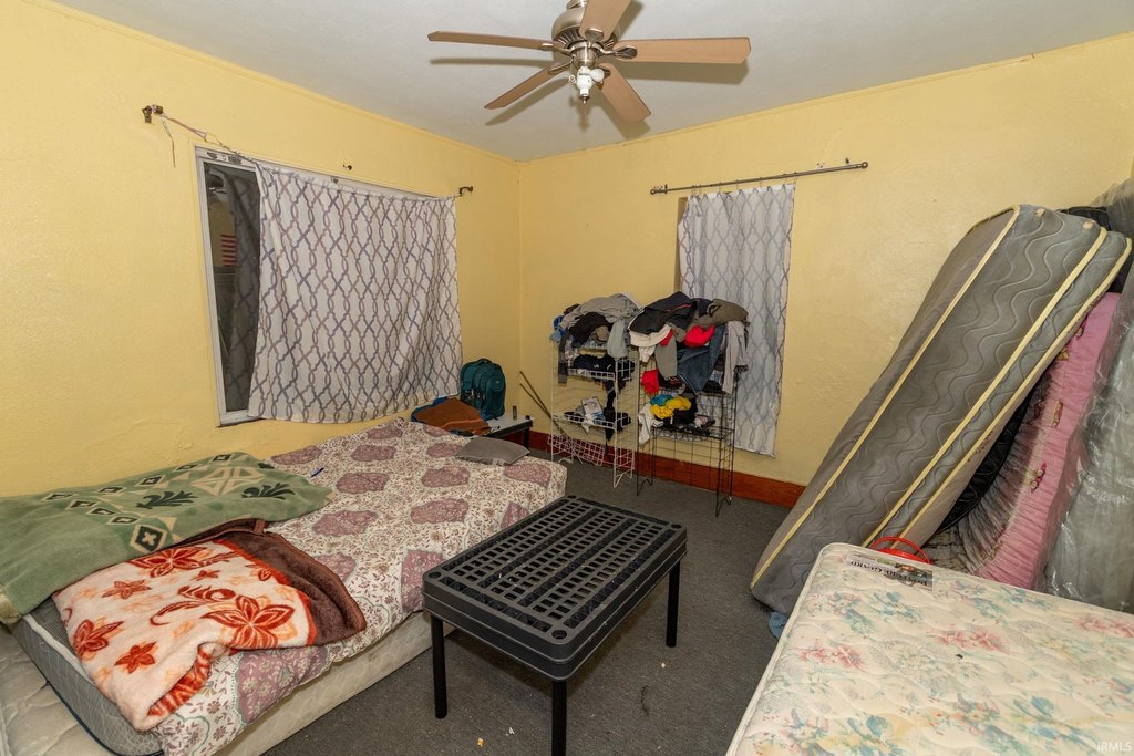 Picture 15