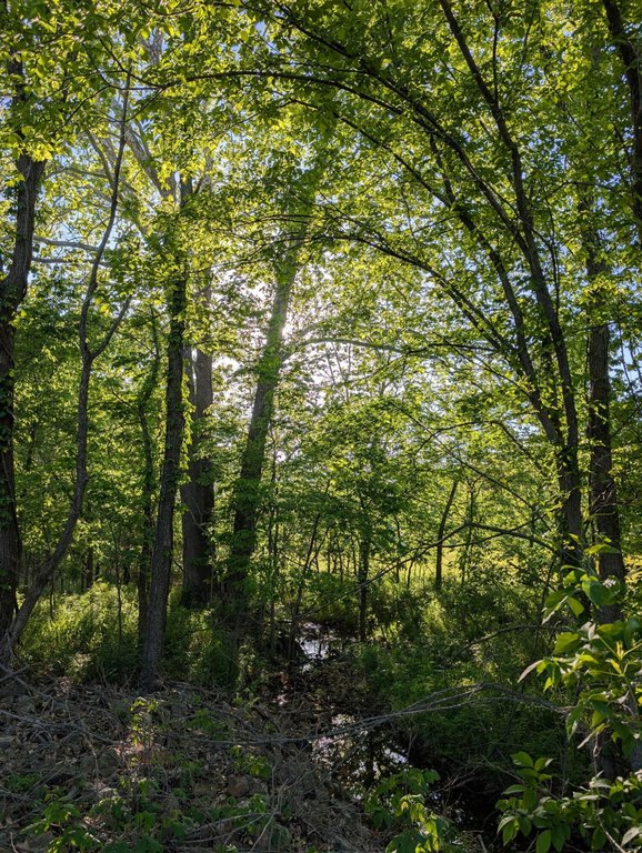 Picture 16