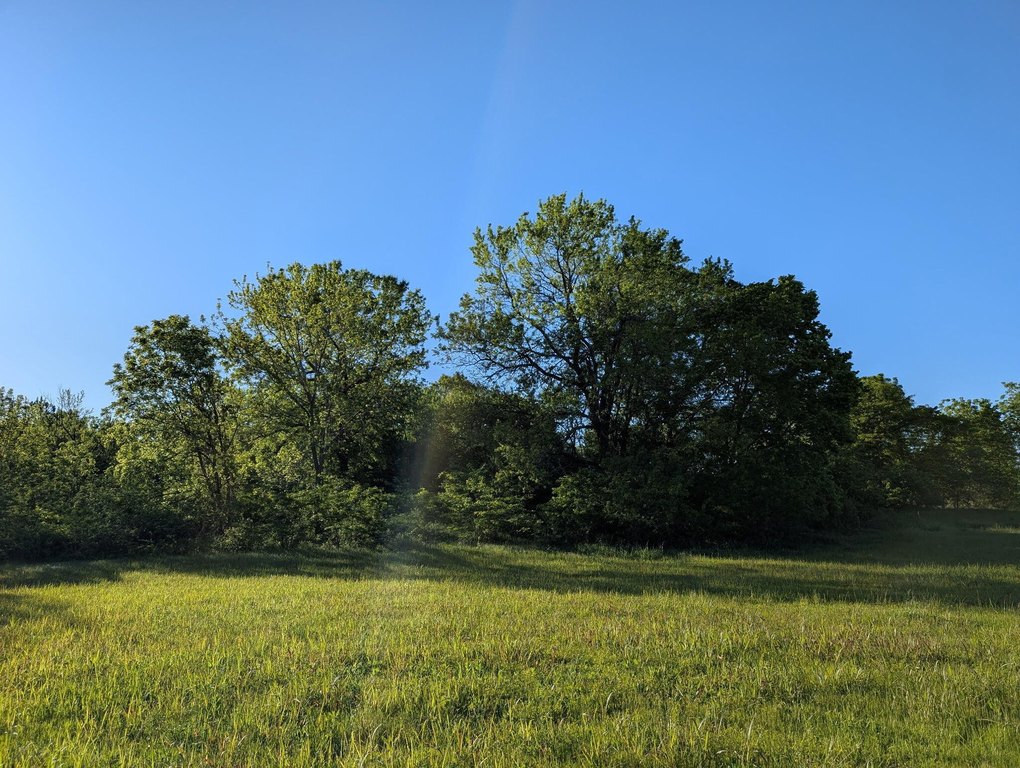 Picture 18