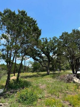 Treed City Lake Area Home Lot