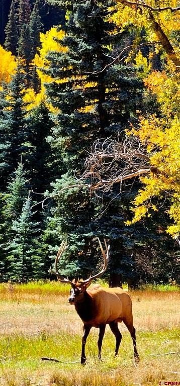 Picture 19