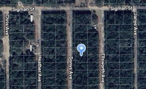 Interlachen Land Near Lake Grandin