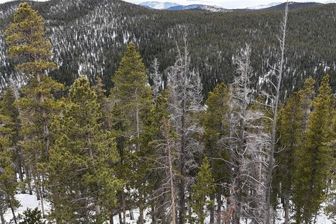 LAND - IDAHO SPRINGS, CO