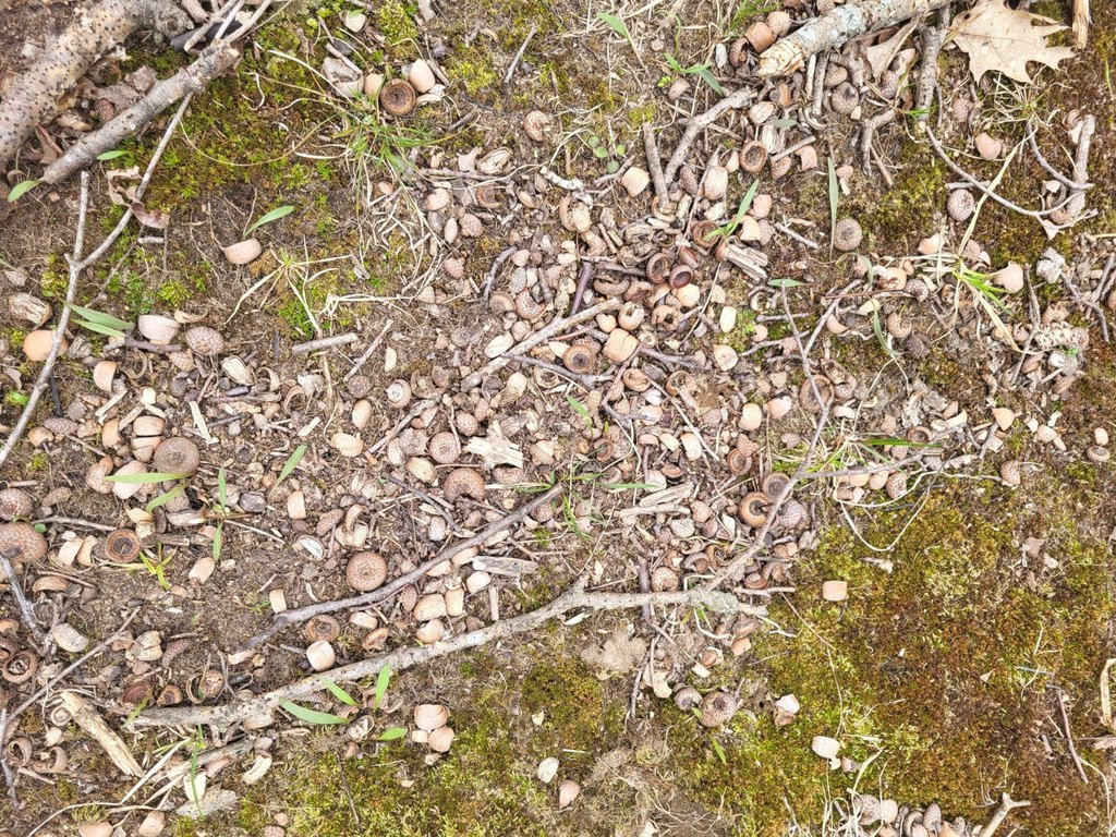 Picture 44