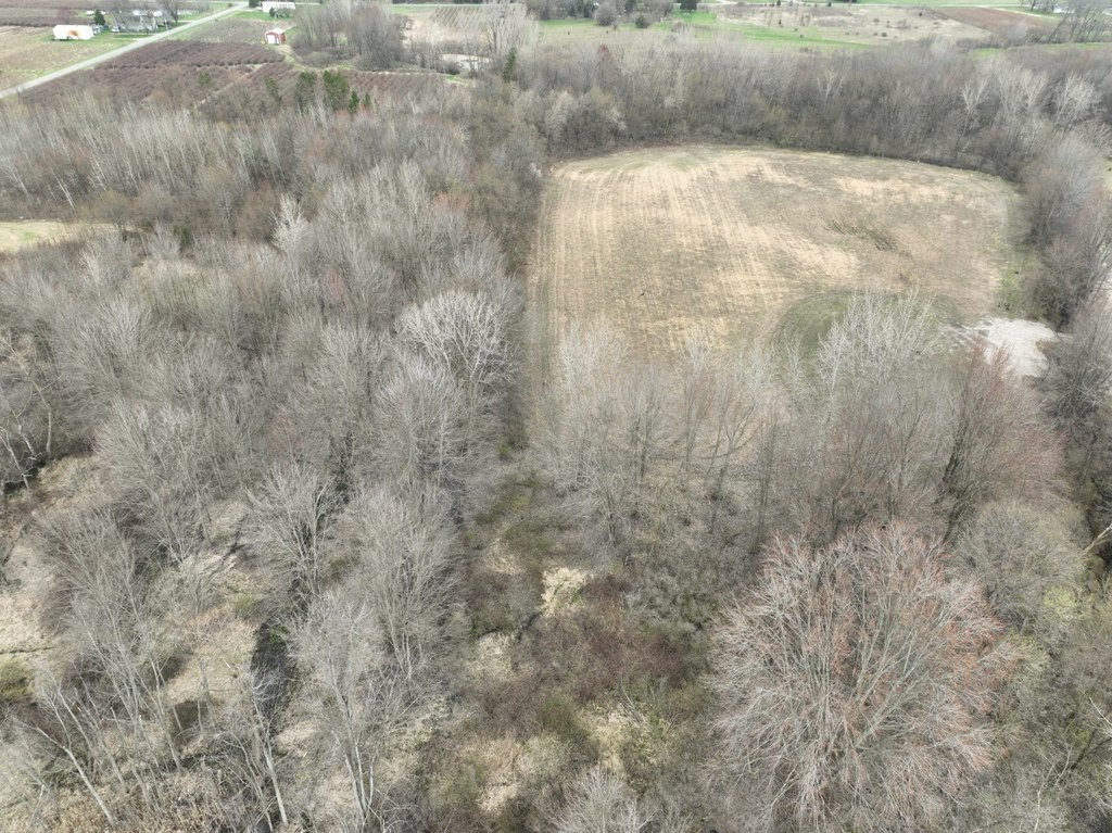 Picture 88