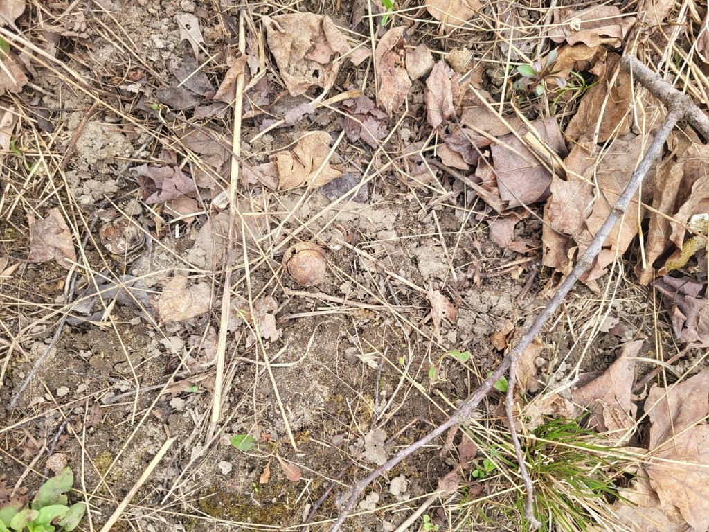 Picture 38