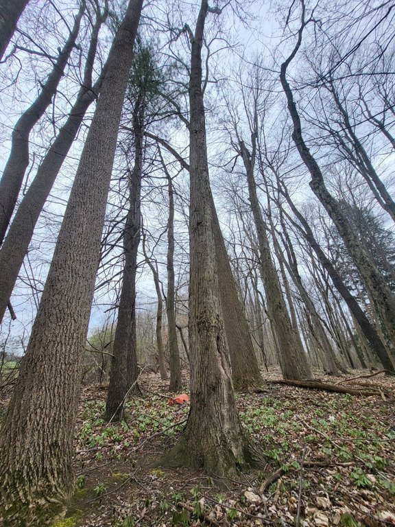 Picture 17