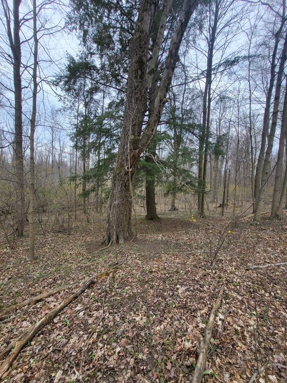 Picture 21
