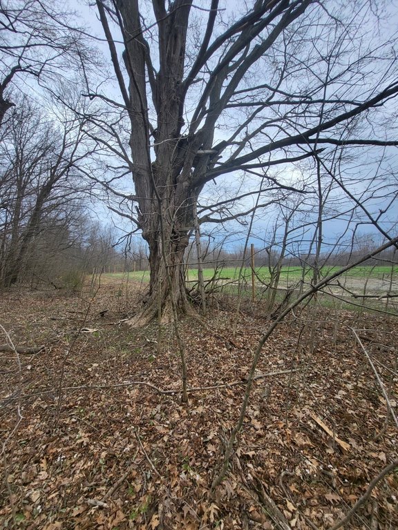 Picture 36