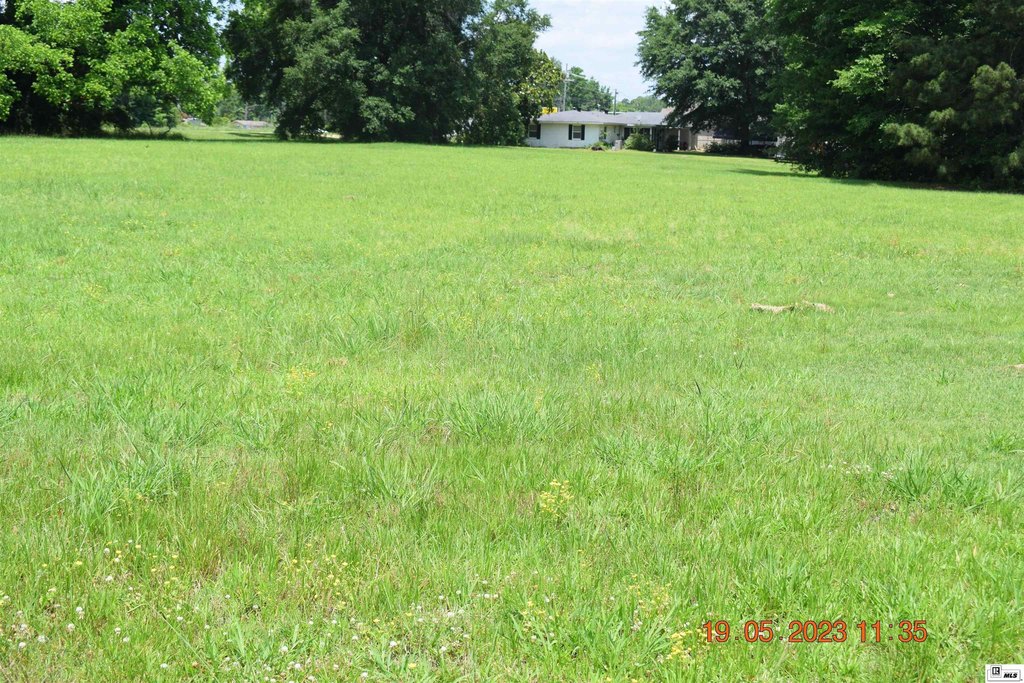 Picture 10