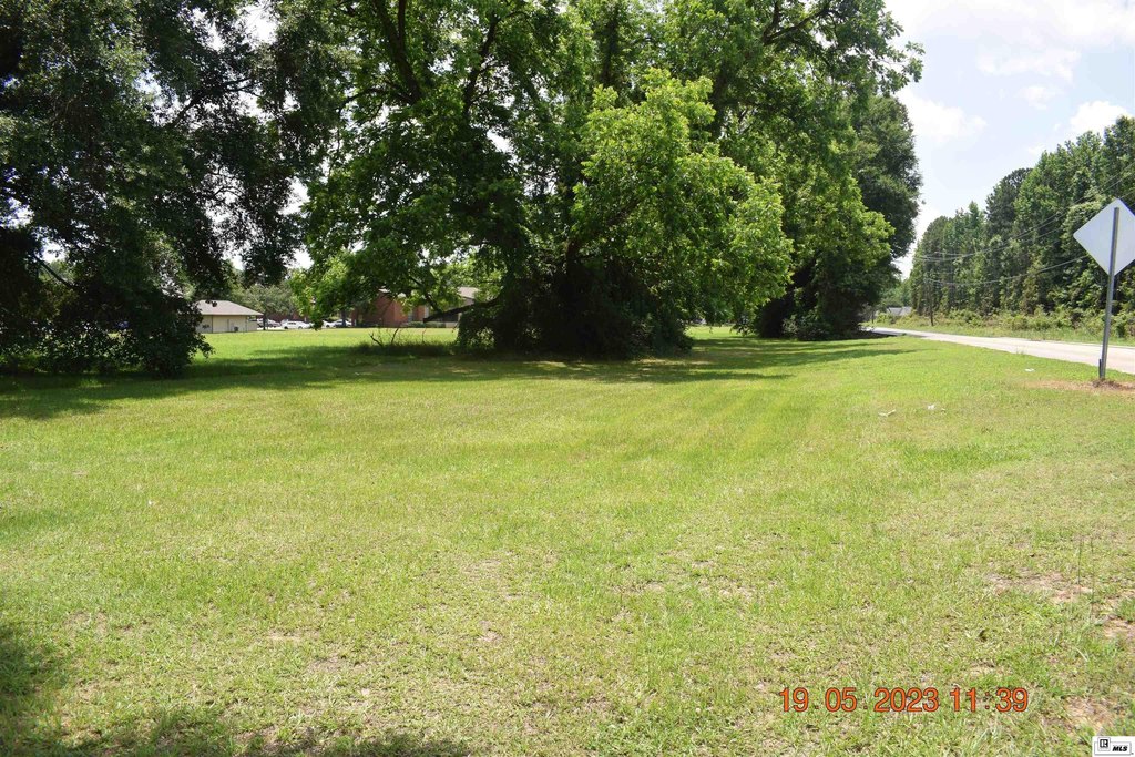 Picture 12