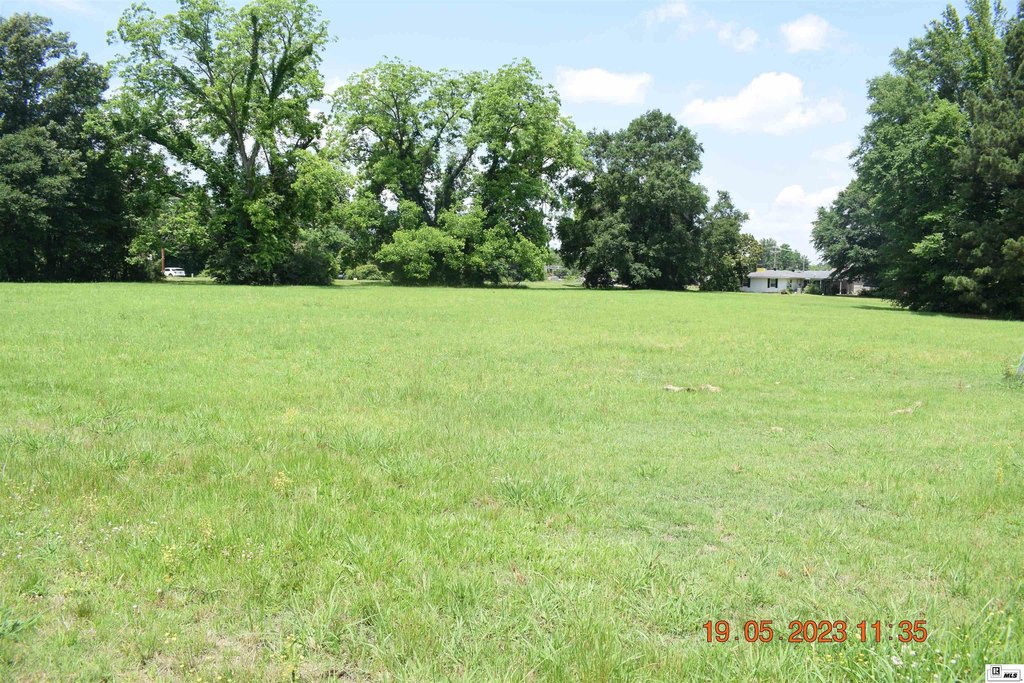 Picture 11