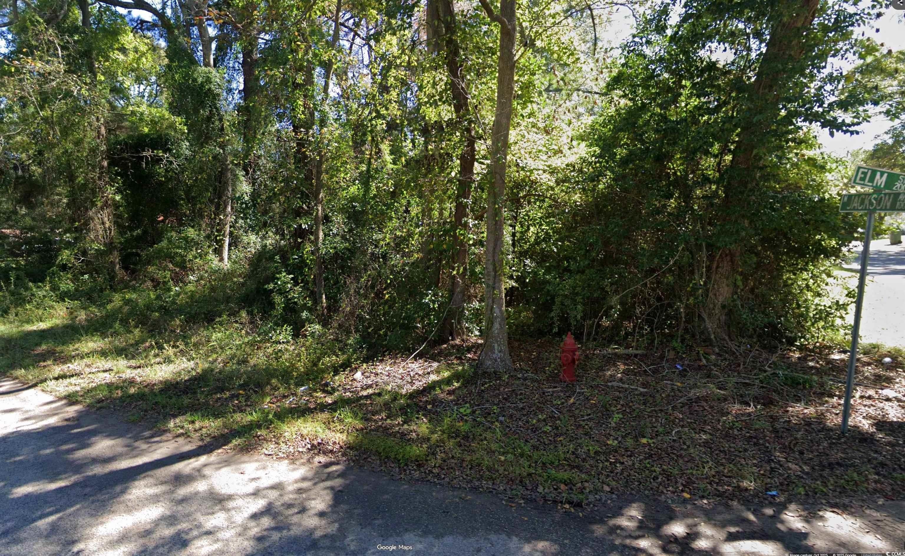 Residential Lot in Johnsonville, SC