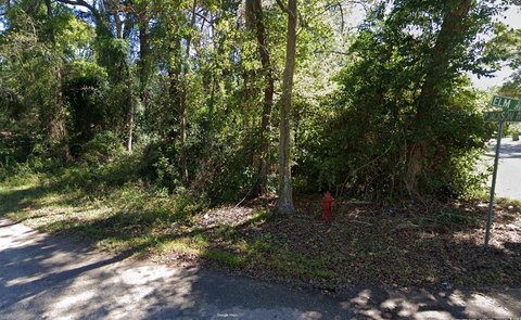 Residential Lot in Johnsonville, SC