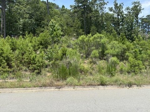 LAND - Maumelle, AR