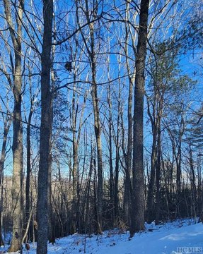 Land with Mountain Views